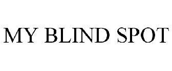 MY BLIND SPOT