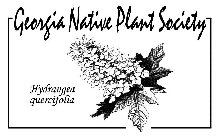GEORGIA NATIVE PLANT SOCIETY HYDRANGEA QUERCIFOLIA