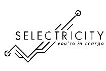 SELECTRICITY YOU'RE IN CHARGE