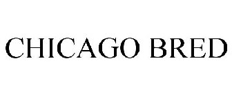 CHICAGO BRED
