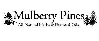 MULBERRY PINES ALL NATURAL HERBS & ESSENTIAL OILS