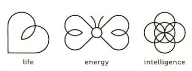 LIFE ENERGY INTELLIGENCE