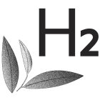 H2