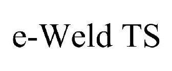 E-WELD TS