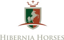 HIBERNIA HORSES