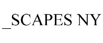 _SCAPES NY