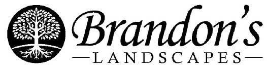 BRANDON'S LANDSCAPES