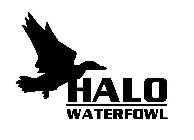 HALO WATERFOWL