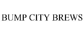 BUMP CITY BREWS