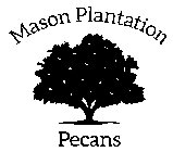 MASON PLANTATION PECANS