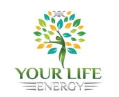 YOUR LIFE ENERGY