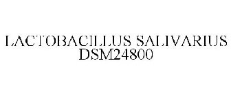 LACTOBACILLUS SALIVARIUS DSM24800