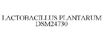 LACTOBACILLUS PLANTARUM DSM24730