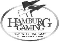 HAMBURG GAMING BUFFALO RACEWAY AT THE FAIRGROUNDS
