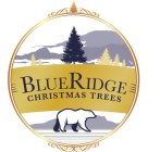 BLUE RIDGE CHRISTMAS TREES