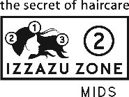 THE SECRET OF HAIRCARE IZZAZU ZONE MIDS