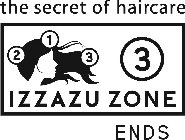 THE SECRET OF HAIRCARE 2 1 3 3 IZZAZU ZONE ENDS