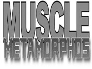 MUSCLE METAMORPHOS