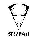 V SELACHII