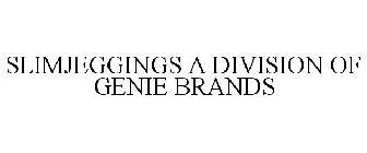 SLIM JEGGINGS A DIVISION OF GENIE BRANDS