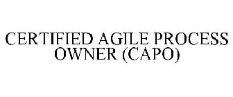 CERTIFIED AGILE PROCESS OWNER (CAPO)