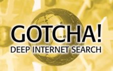 GOTCHA! DEEP INTERNET SEARCH