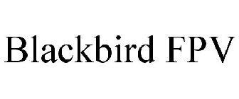 BLACKBIRD FPV