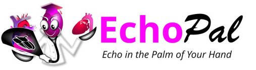 ECHOPAL ECHO IN THE PALM OF YOUR HAND