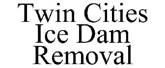 TWIN CITIES ICE DAM REMOVAL