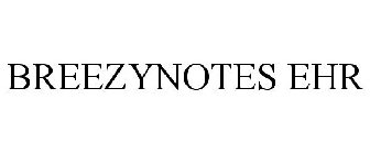 BREEZYNOTES EHR