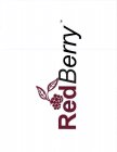 REDBERRY