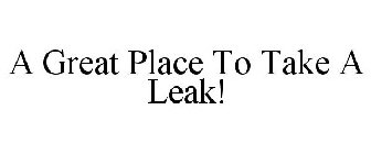 A GREAT PLACE TO TAKE A LEAK!