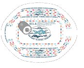 BELA U WILD CAUGHT-ALL NATURAL-PACKED FRESH LIGHTLY SMOKED PORTUGUESE SARDINES IN OLIVE OIL SOURCE OF CALCIUM A NATURAL SOURCE OF OMEGA-3 PRODUCT OF PORTUGAL
