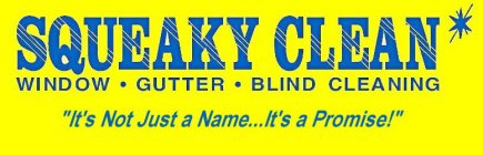 SQUEAKY CLEAN WINDOW · GUTTER · BLIND CLEANING IT'S NOT JUST A NAME... IT'S A PROMISE