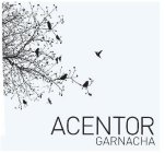 ACENTOR GARNACHA