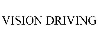 VISION DRIVING