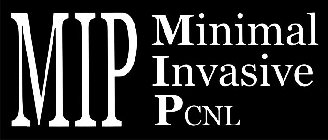 MIP MINIMAL INVASIVE PCNL