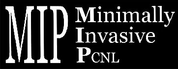 MIP MINIMALLY INVASIVE PCNL