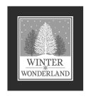WINTER WONDERLAND
