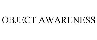 OBJECT AWARENESS
