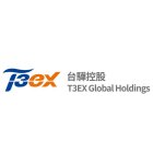 T3EX GLOBAL HOLDINGS