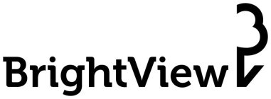 BRIGHTVIEW BV