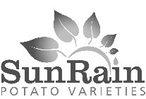 SUNRAIN POTATO VARIETIES