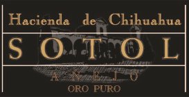 HACIENDA DE CHIHUAHUA SOTOL AÑEJO ORO PURO