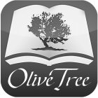OLIVE TREE