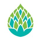 Image Trademark
