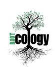 ROOTCOLOGY