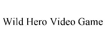 WILD HERO VIDEO GAME