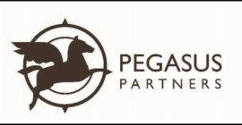 PEGASUS PARTNERS