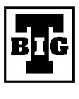 BIG T